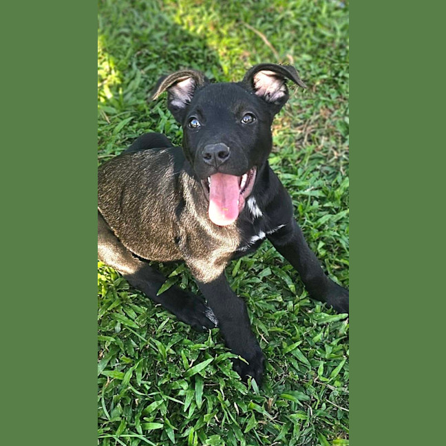 Photo of Denzel