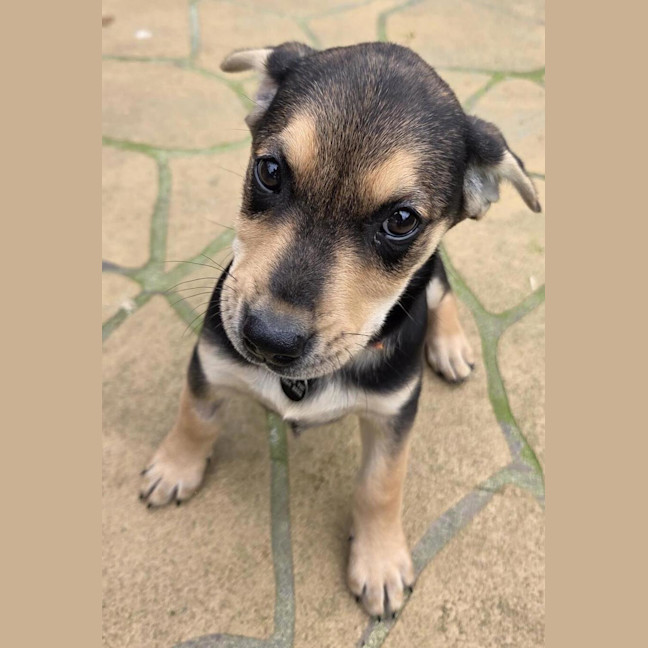 Photo of Freya