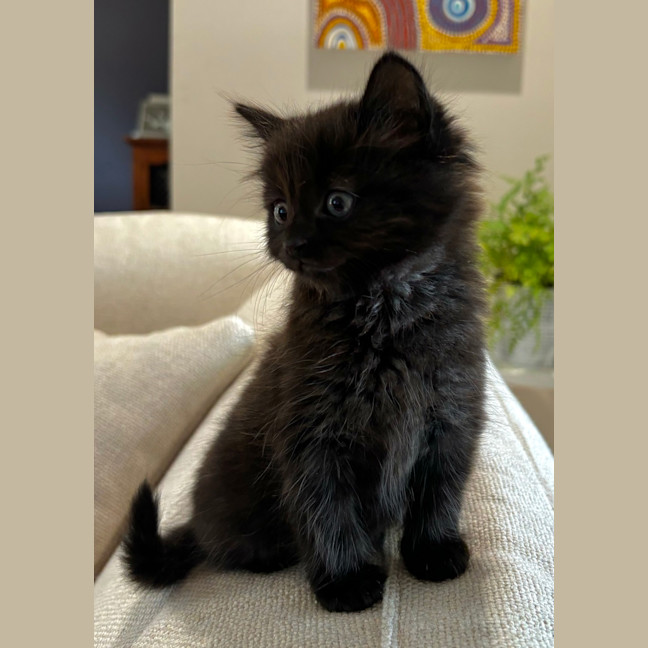 Photo of Poe