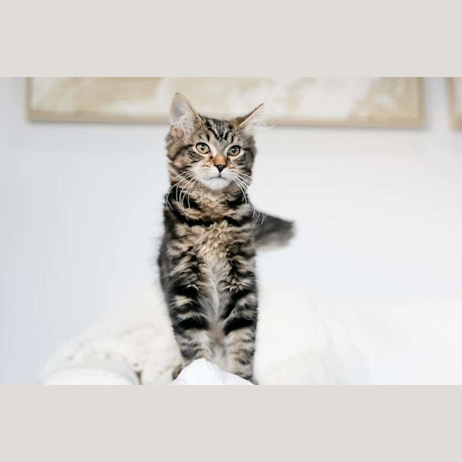 Photo of Rory