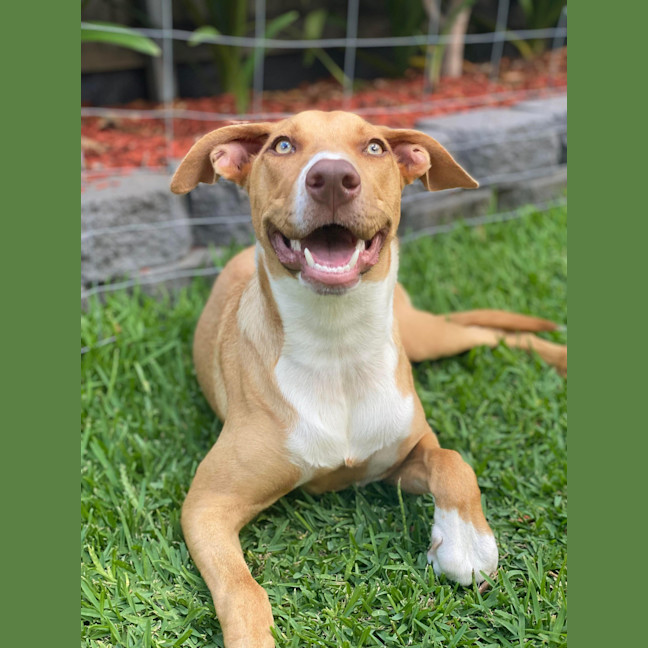 Photo of Matilda