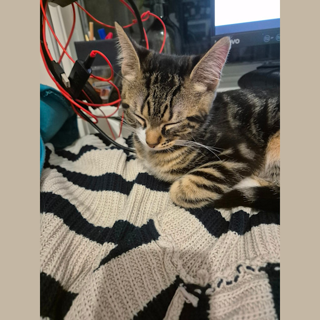 Photo of Max