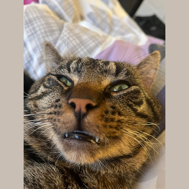 Photo of Bruce