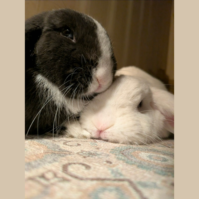 Photo of Jonas & Jase