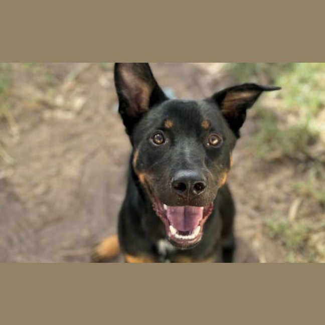 Photo of Rokit