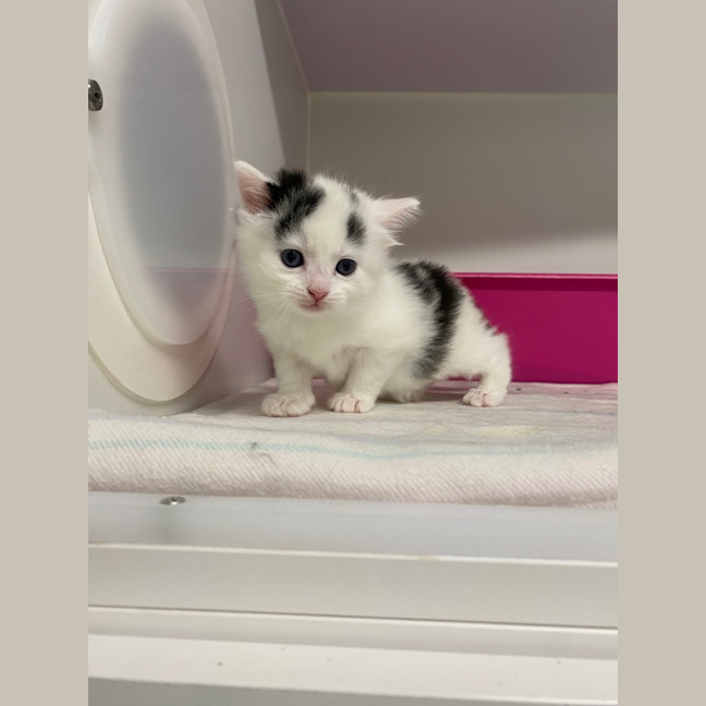 Photo of Wanda