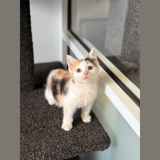 Photo of Holly