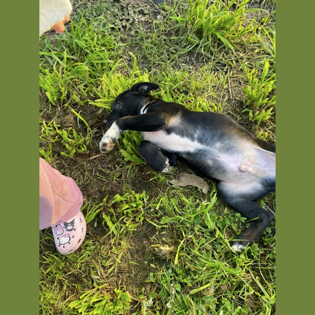 Photo of Stormy