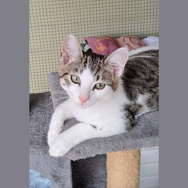 Photo of Donald And Daisy