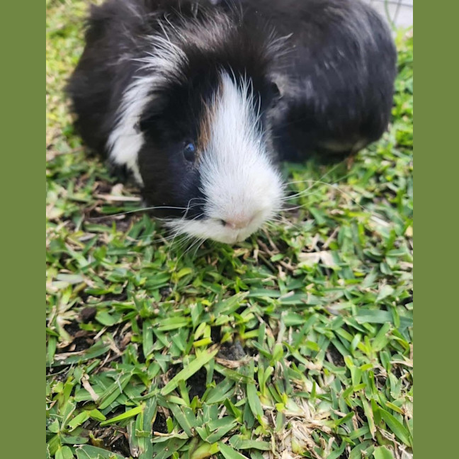 Photo of Jimmy & Tux