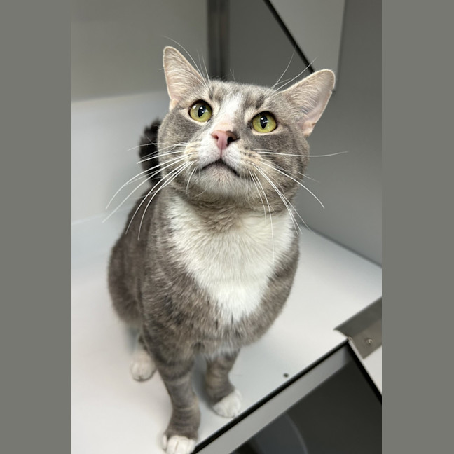 Photo of The Mayor Of Whoville