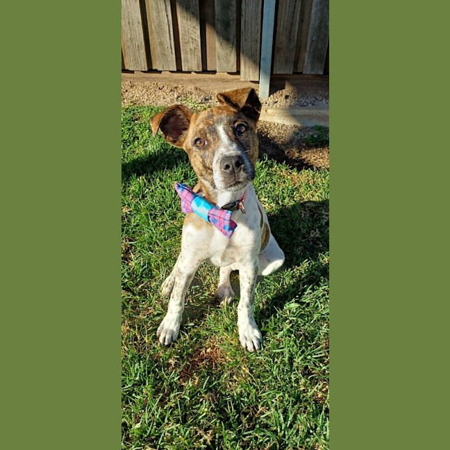 Photo of Chloe