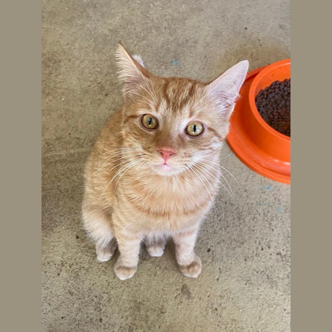 Photo of Ben & Jerry