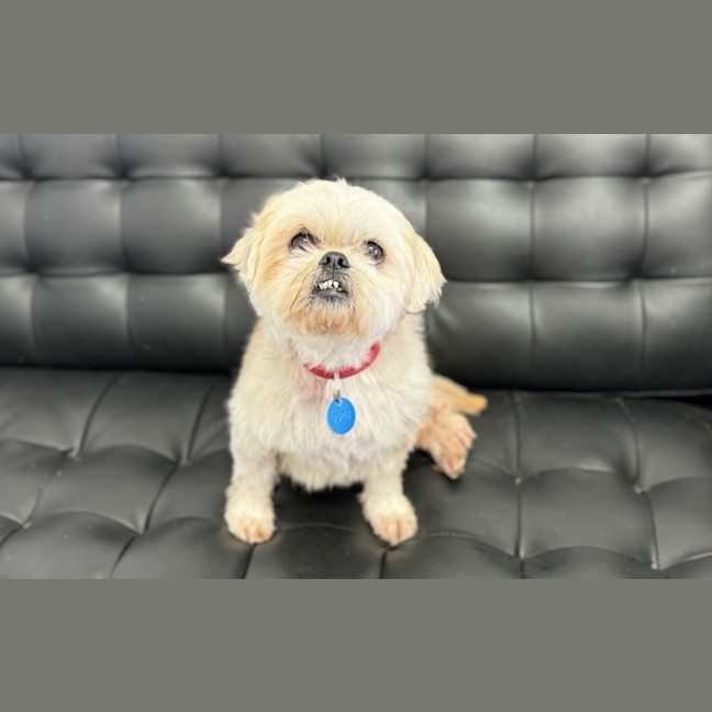Photo of Ruth