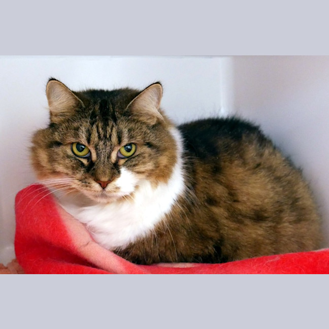 Photo of Tink Rsua010418