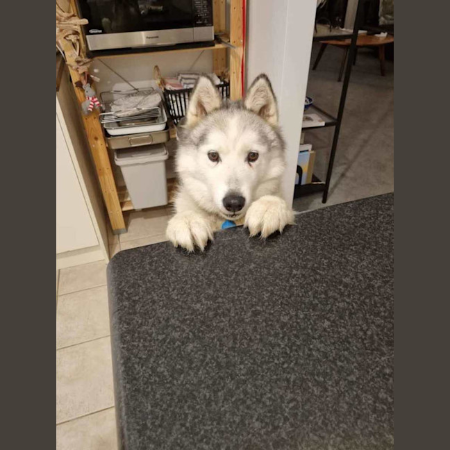 Photo of Ghost & Mirri