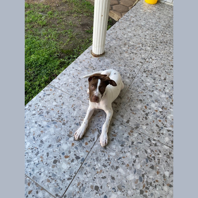 Photo of Wyatt