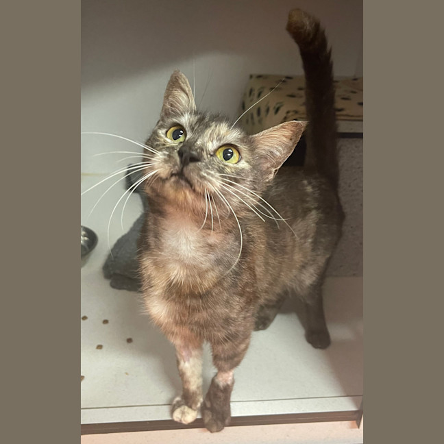 Photo of Astrid