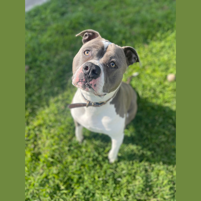 Photo of Buster Rhymes 