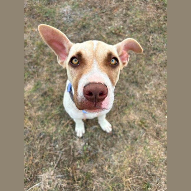Photo of Daisey