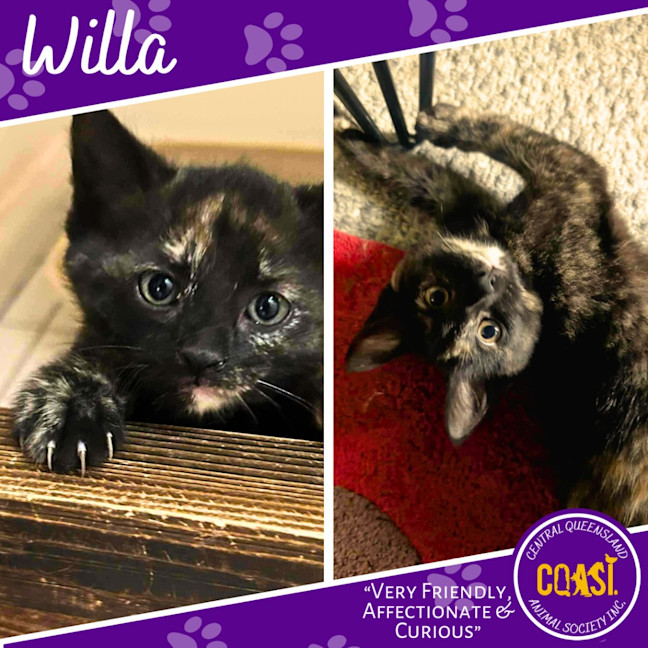 Photo of Willa