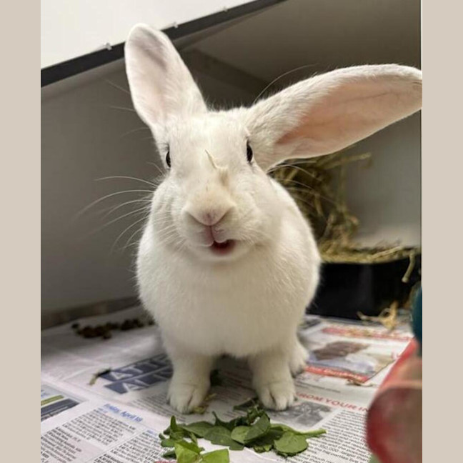 Photo of Brenda