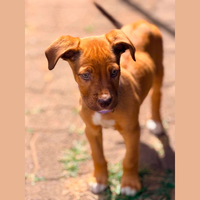 Photo of Maizie