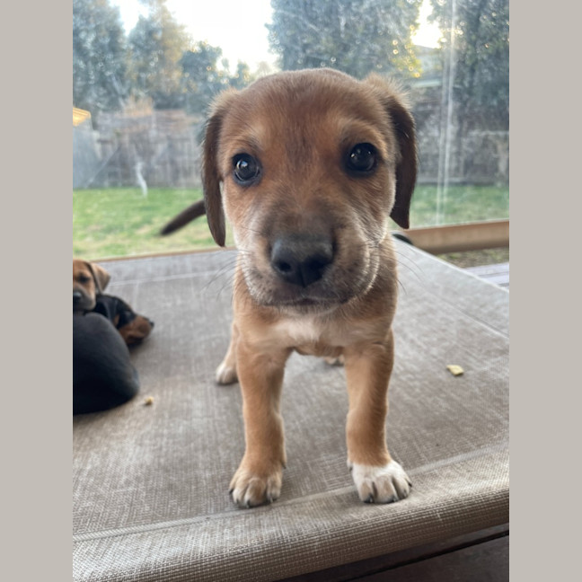 Photo of Monty
