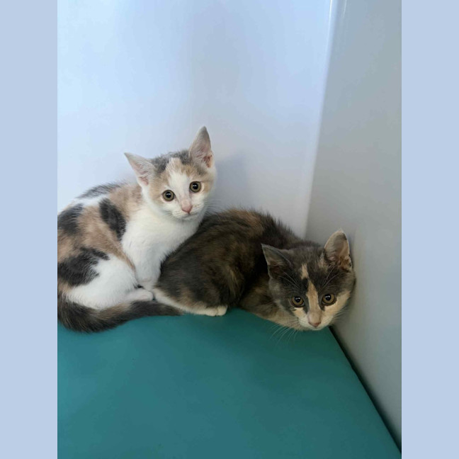 Photo of Martha & Morgan 