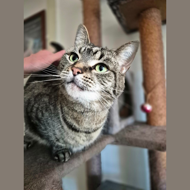 Photo of Marley