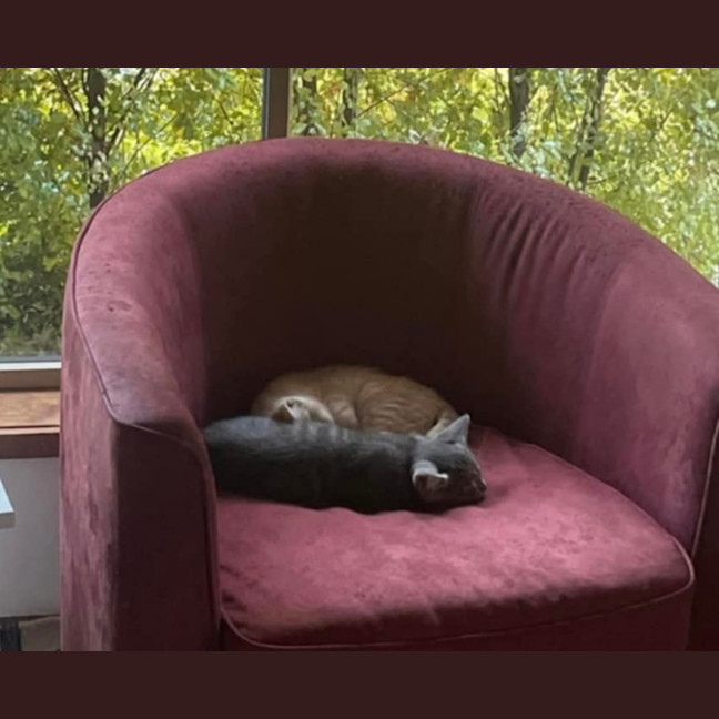 Photo of Pumpkin & Malcolm