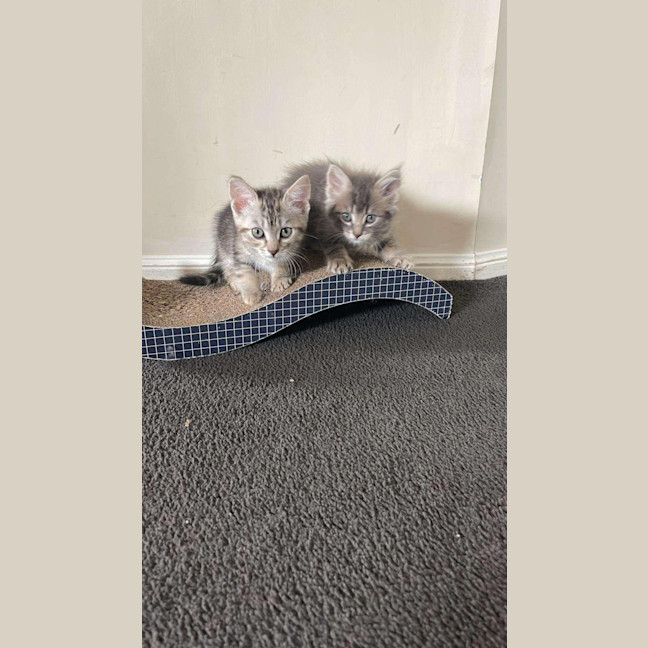 Photo of Maurice 💙