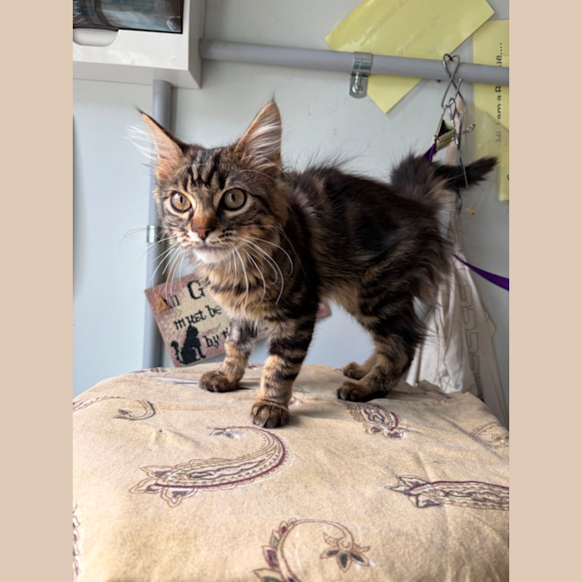 Photo of Zada