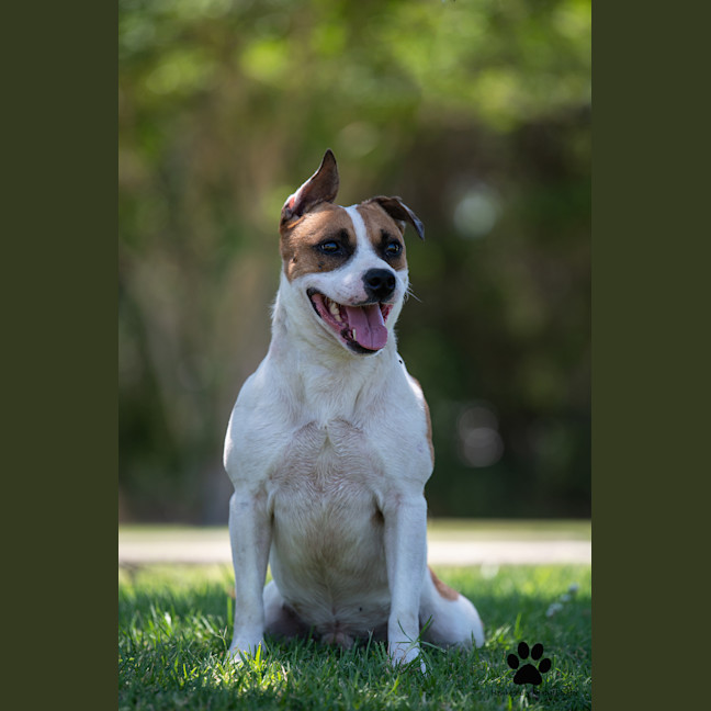 Photo of Monty