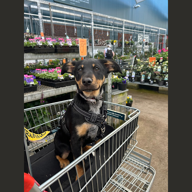 Photo of Narla