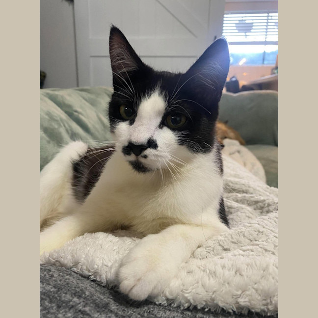 Photo of Milly