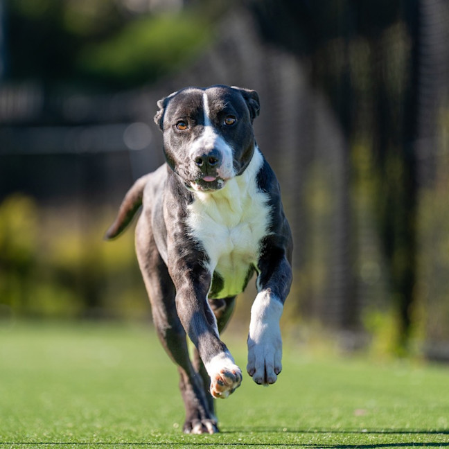 Photo of Michael Imp 887