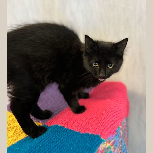 Photo of Loveheart Pasta