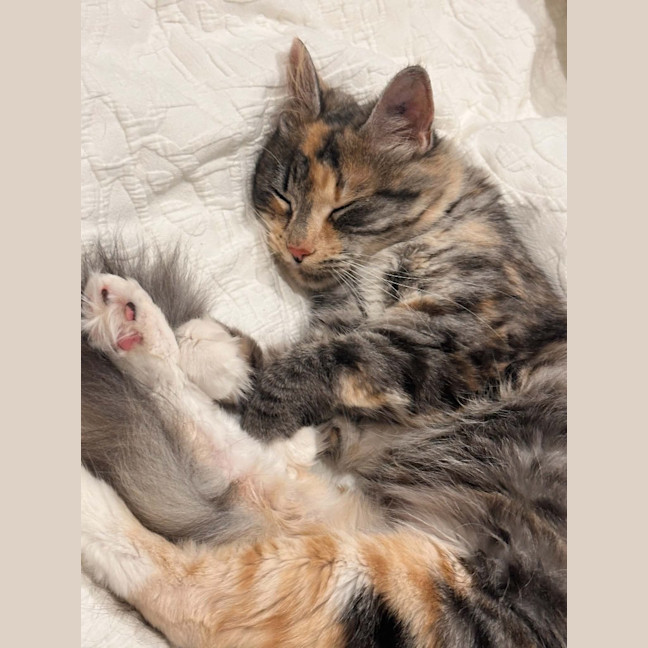 Photo of Jasmine