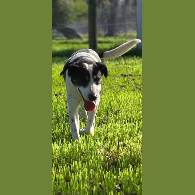 Photo of Tank