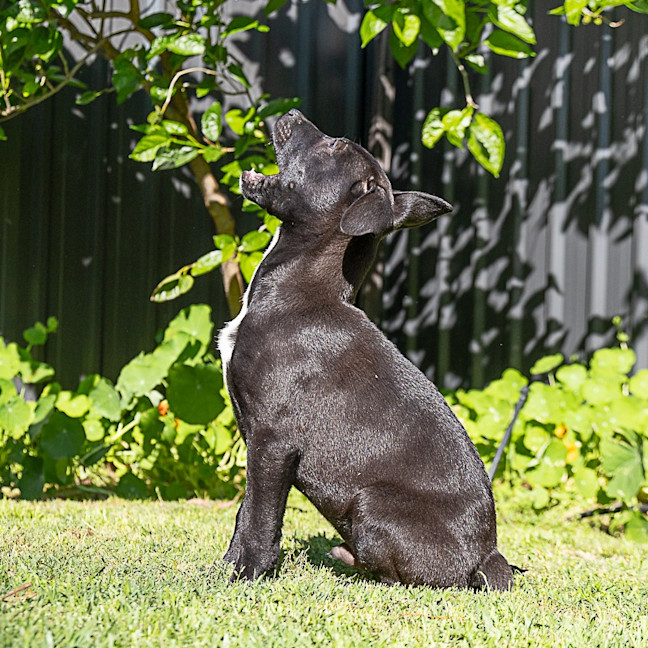 Photo of Lumen