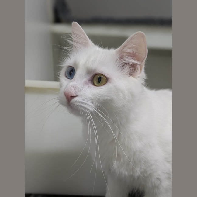 Photo of 🎀 Marie 5728 🎀