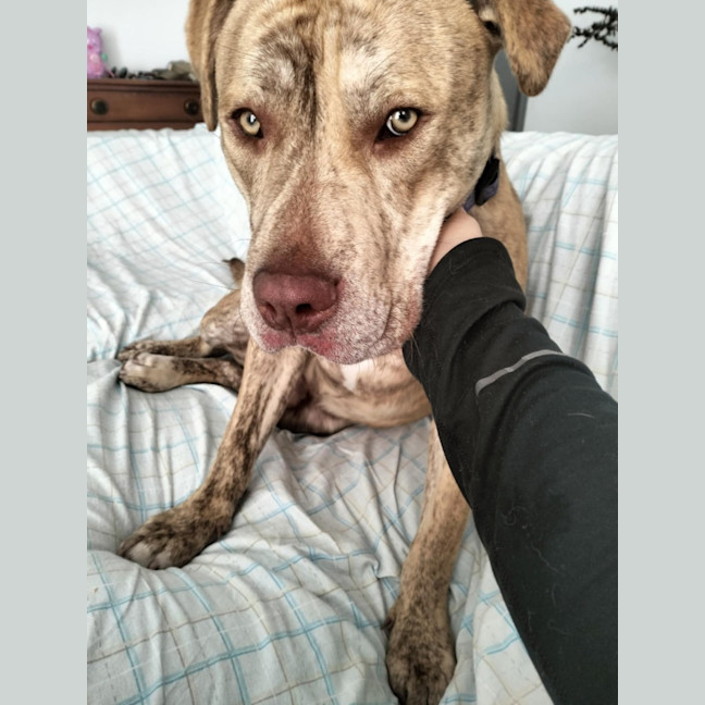 Photo of Theodorable