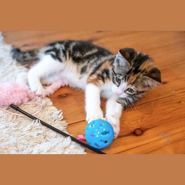 Photo of Zoe