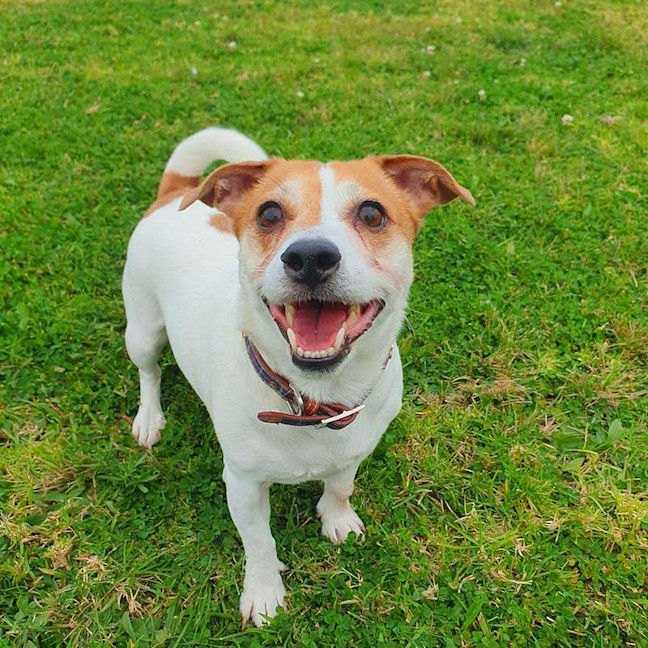Photo of Suki