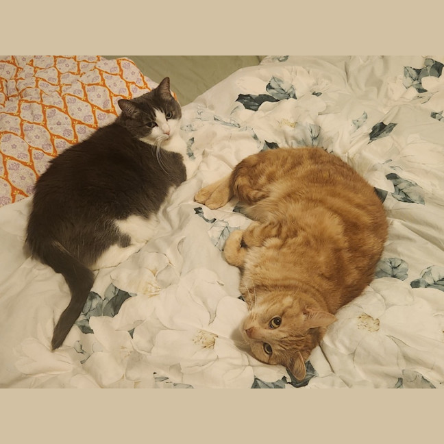 Photo of Theo & Ronnie