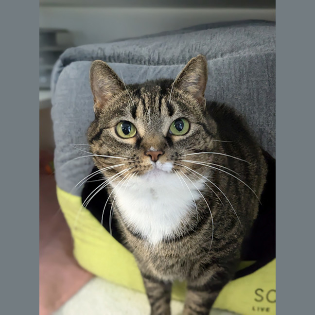 Photo of Mabel
