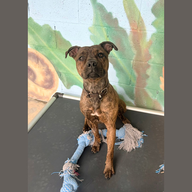 Photo of 🎨 Molly 6640 🎨