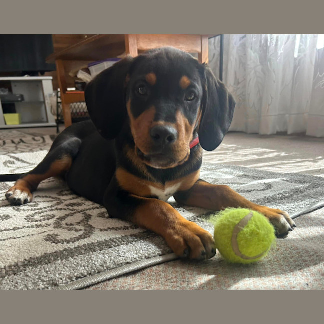 Photo of Magnus