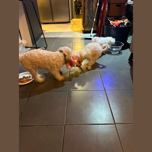 Photo of Mimi